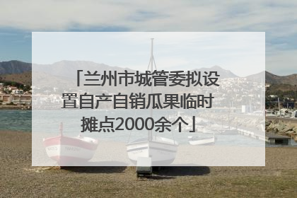 兰州市城管委拟设置自产自销瓜果临时摊点2000余个