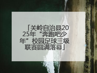 关岭自治县2025年“奔跑吧少年”校园足球三级联赛圆满落幕