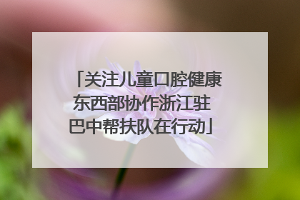 关注儿童口腔健康 东西部协作浙江驻巴中帮扶队在行动