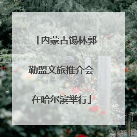 内蒙古锡林郭勒盟文旅推介会在哈尔滨举行