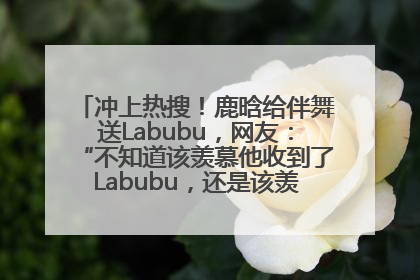 冲上热搜！鹿晗给伴舞送Labubu，网友：“不知道该羡慕他收到了Labubu，还是该羡慕鹿晗送他礼物”