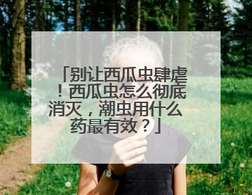 别让西瓜虫肆虐！西瓜虫怎么彻底消灭，潮虫用什么药最有效？