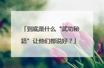 到底是什么“武功秘籍”让他们都说好？