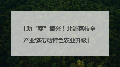 助“荔”振兴！北流荔枝全产业链带动特色农业升级