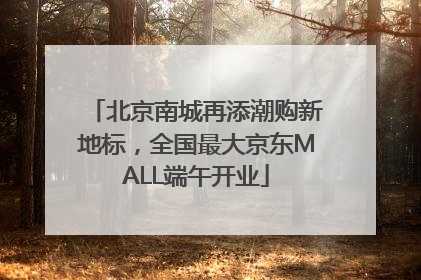 北京南城再添潮购新地标，全国最大京东MALL端午开业
