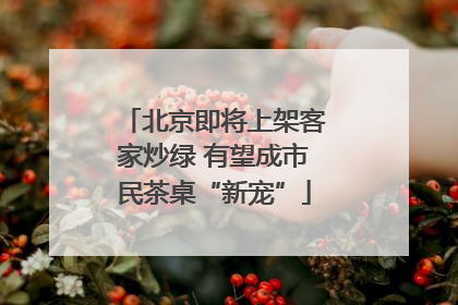 北京即将上架客家炒绿 有望成市民茶桌“新宠”