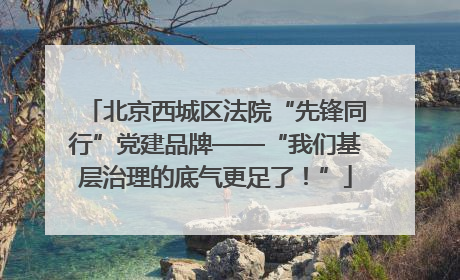 北京西城区法院“先锋同行”党建品牌——“我们基层治理的底气更足了！”