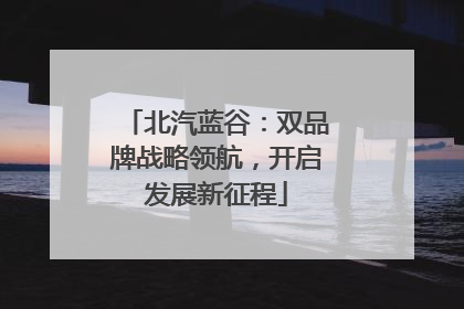 北汽蓝谷：双品牌战略领航，开启发展新征程