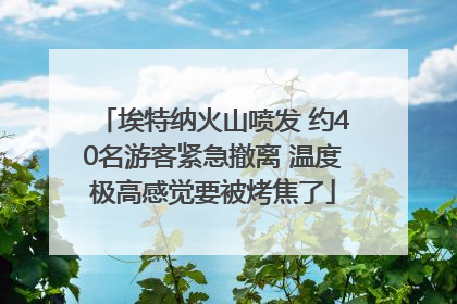 埃特纳火山喷发 约40名游客紧急撤离 温度极高感觉要被烤焦了