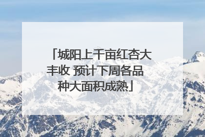 城阳上千亩红杏大丰收 预计下周各品种大面积成熟