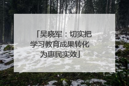 吴晓军：切实把学习教育成果转化为惠民实效
