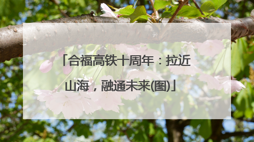 合福高铁十周年：拉近山海，融通未来(图)