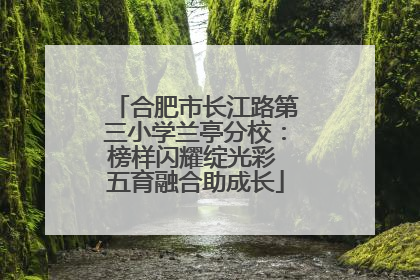 合肥市长江路第三小学兰亭分校：榜样闪耀绽光彩 五育融合助成长