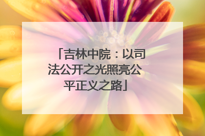 吉林中院：以司法公开之光照亮公平正义之路