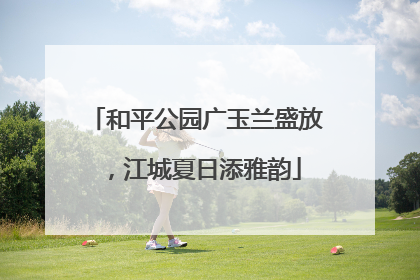 和平公园广玉兰盛放，江城夏日添雅韵