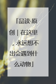 品读·原创｜在这里，永远想不出会遇到什么动物