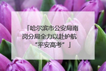哈尔滨市公安局南岗分局全力以赴护航“平安高考”