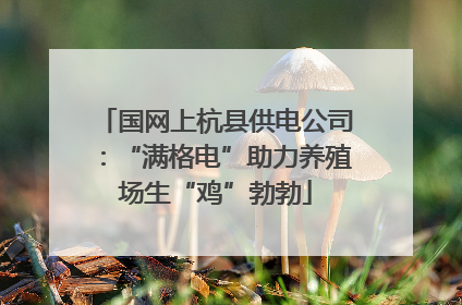 国网上杭县供电公司：“满格电”助力养殖场生“鸡”勃勃