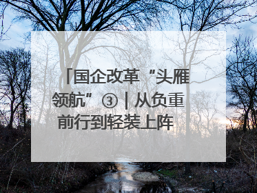 国企改革“头雁领航”③｜从负重前行到轻装上阵 重庆以“瘦身”谋“健体”