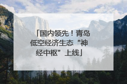 国内领先！青岛低空经济生态“神经中枢”上线