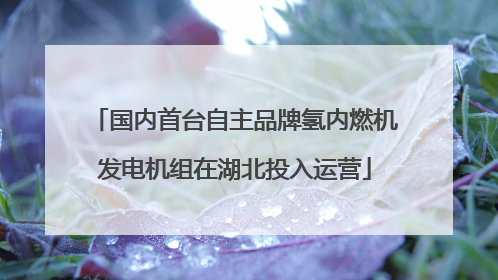 国内首台自主品牌氢内燃机发电机组在湖北投入运营