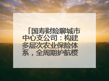 国寿财险聊城市中心支公司：构建多层次农业保险体系，全周期护航樱桃产业发展