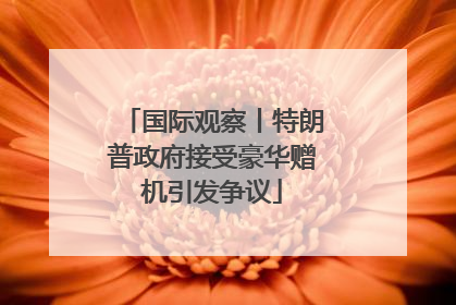 国际观察丨特朗普政府接受豪华赠机引发争议