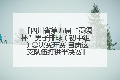 四川省第五届“贡嘎杯”男子排球（初中组）总决赛开赛 自贡这支队伍打进半决赛