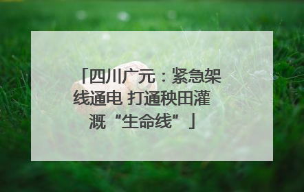 四川广元：紧急架线通电 打通秧田灌溉“生命线”