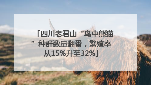 四川老君山“鸟中熊猫”种群数量翻番，繁殖率从15%升至32%