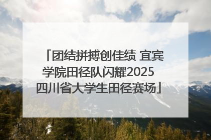 团结拼搏创佳绩 宜宾学院田径队闪耀2025四川省大学生田径赛场