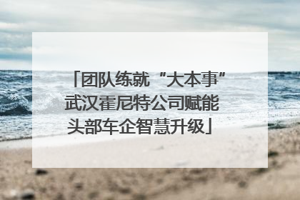 团队练就“大本事” 武汉霍尼特公司赋能头部车企智慧升级
