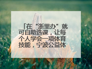 在“浙里办”就可自助选课，让每个人学会一项体育技能，宁波公益体培落到实处