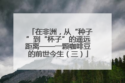 在非洲，从“种子”到“杯子”的遥远距离——一颗咖啡豆的前世今生（三）
