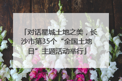 对话星城土地之美，长沙市第35个“全国土地日”主题活动举行