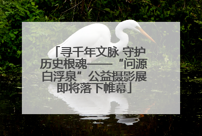 寻千年文脉 守护历史根魂——“问源白浮泉”公益摄影展即将落下帷幕