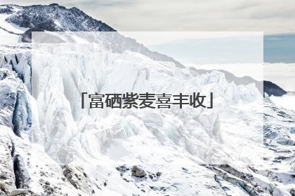 富硒紫麦喜丰收