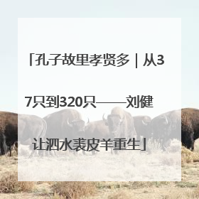 孔子故里孝贤多｜从37只到320只——刘健让泗水裘皮羊重生