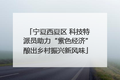 宁夏西夏区 科技特派员助力“紫色经济”酿出乡村振兴新风味