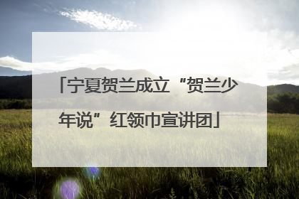 宁夏贺兰成立“贺兰少年说”红领巾宣讲团