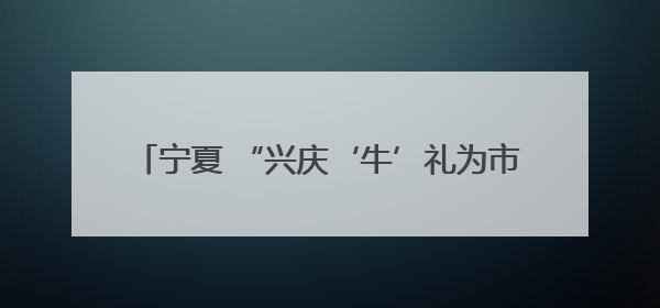 宁夏 “兴庆‘牛’礼为市民奶瓶子”增添更多选择