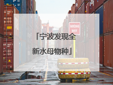 宁波发现全新水母物种