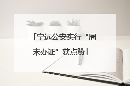 宁远公安实行“周末办证”获点赞