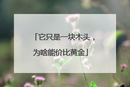 它只是一块木头，为啥能价比黄金