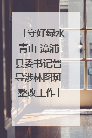 守好绿水青山 漳浦县委书记督导涉林图斑整改工作