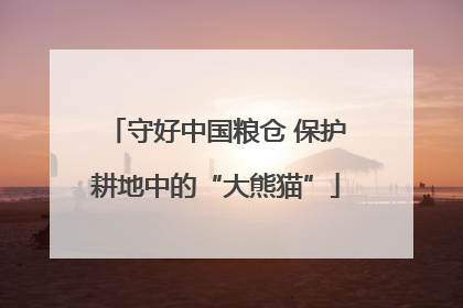 守好中国粮仓 保护耕地中的“大熊猫”