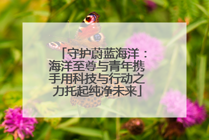 守护蔚蓝海洋：海洋至尊与青年携手用科技与行动之力托起纯净未来