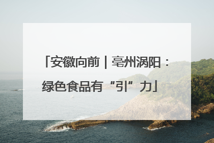 安徽向前｜亳州涡阳：绿色食品有“引”力