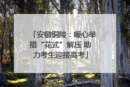 安徽铜陵：暖心举措“花式”解压 助力考生迎接高考