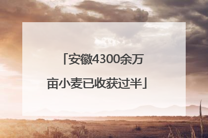 安徽4300余万亩小麦已收获过半